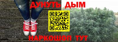 дживик Можга