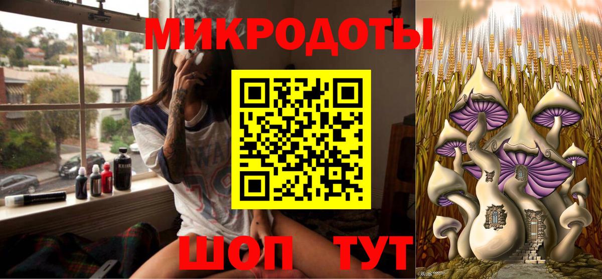 Строитель  где можно купить наркотик  Вход с VPN  Псилоцибиновые грибы Psilocybine cubensis  Псилоцибиновые грибы прущие грибы 