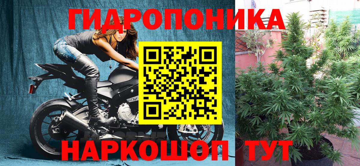 Конопля тримм  Бошки марихуана Ganja  Строитель  Вход с VPN  Бошки марихуана ГИДРОПОН 